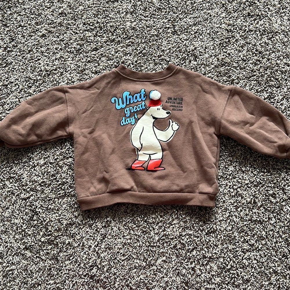 Zara toddler sweater fits size 2T-3T - Picture 1 of 4